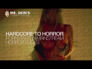 [mr. skin] hardcore to horror