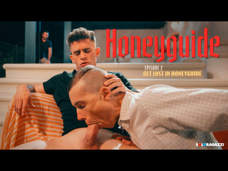 [disruptivefilms] honeyguide: get lost in honeyguide 4k